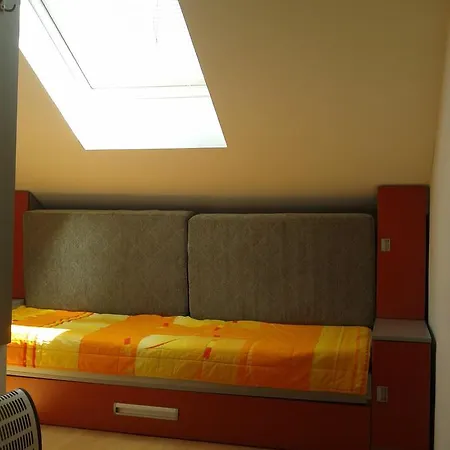 Pinos * סוקו בניה